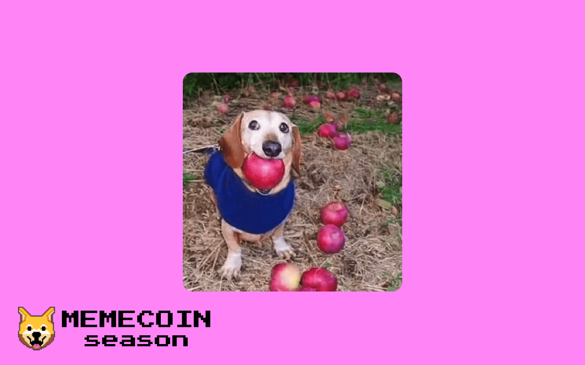 Dog with apple in mouth ($APPLE)